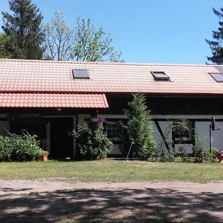 Agroturystyka Pod Debami W Klukach Smołdzino Екстериор снимка