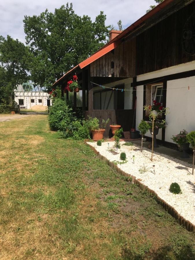 Agroturystyka Pod Debami W Klukach Smołdzino Екстериор снимка