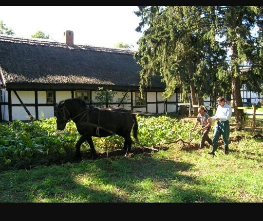 Agroturystyka Pod Debami W Klukach Smołdzino Екстериор снимка